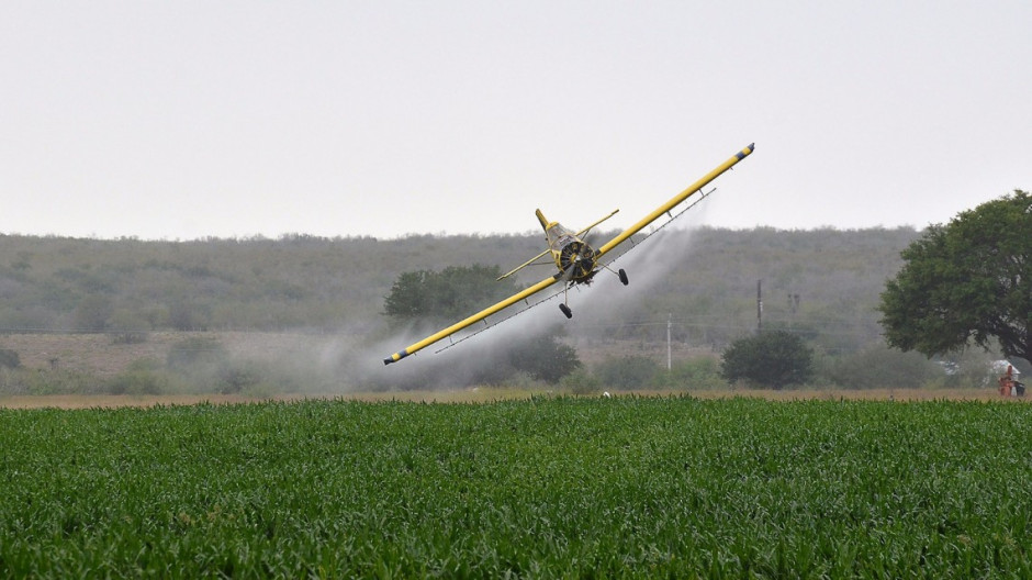 Aprueban apoyo financiero para sanidades en Tamaulipas
