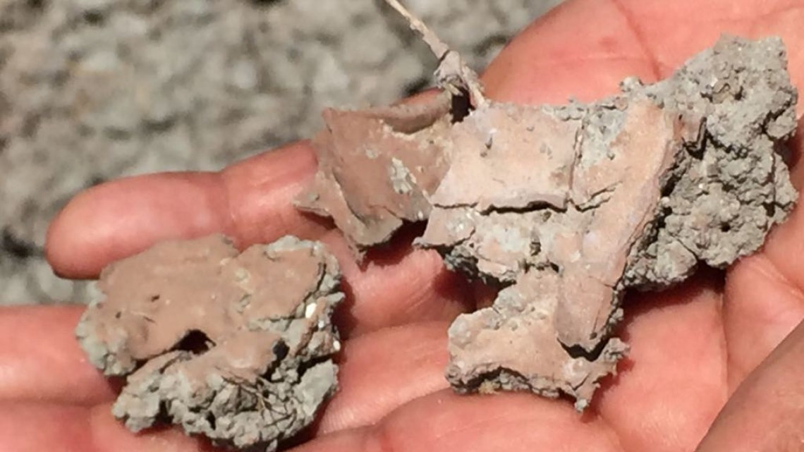 Pescadores denuncian contaminación en Laguna y manglares