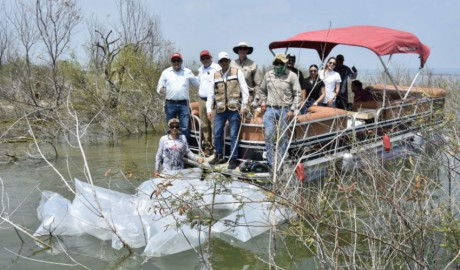 Siembran lobinas en la presa Vicente Guerrero para impulsar la pesca deportiva