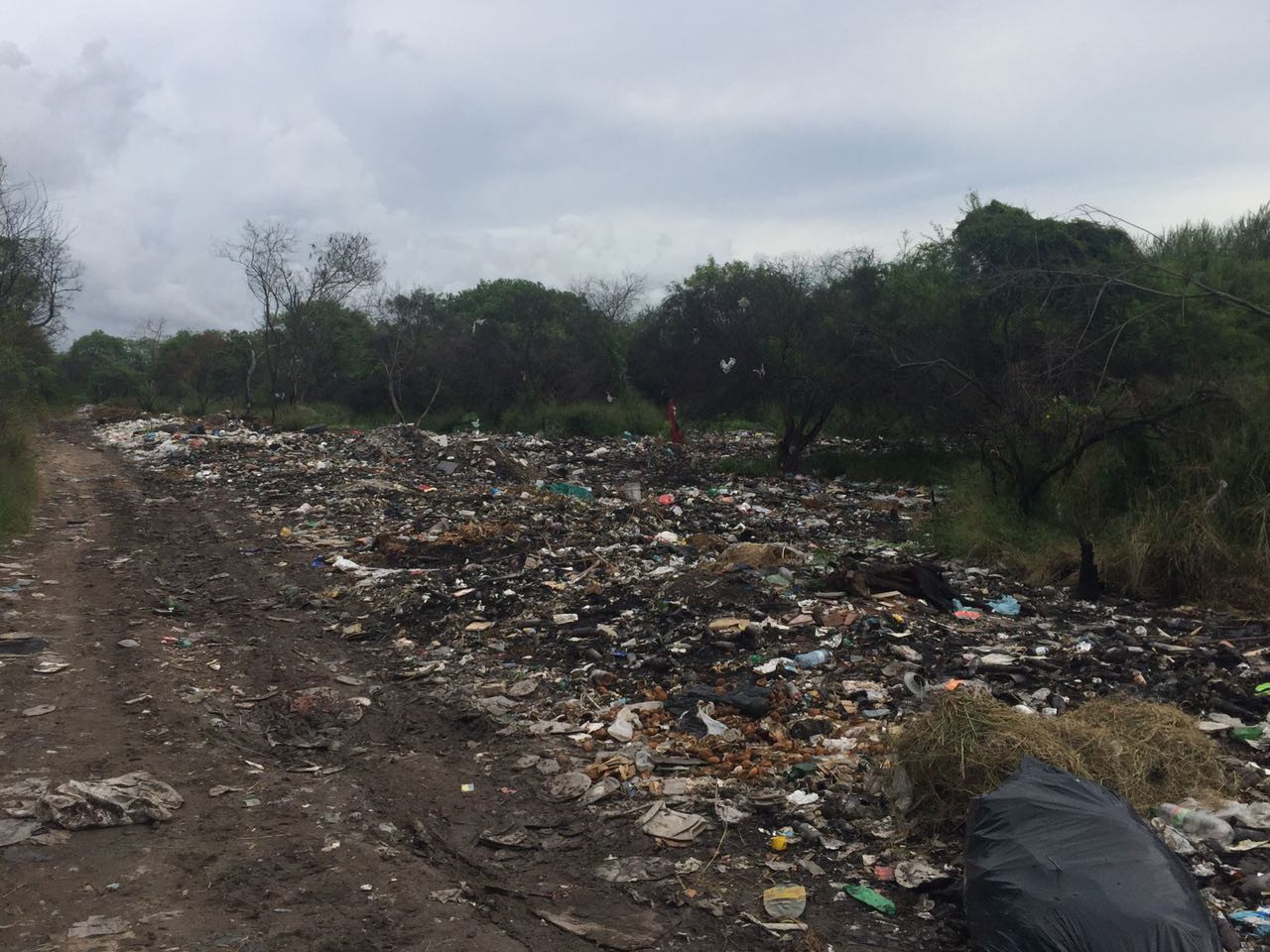 Carretoneros problema social para Matamoros