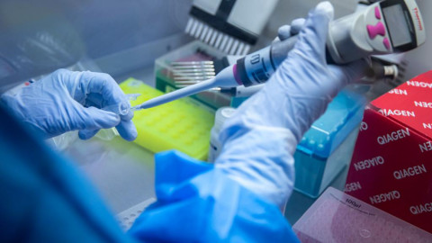 Brownsville continua con su exhorto a realizarse pruebas para detectar COVID-19