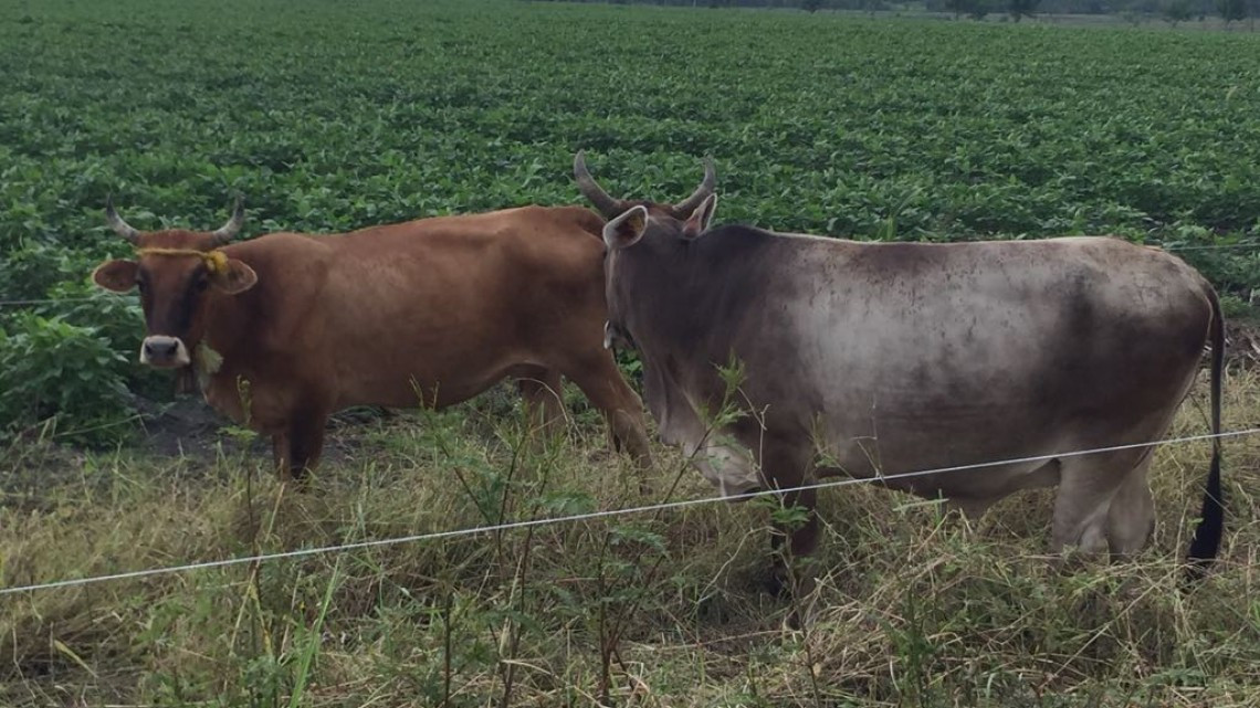 Buscan fortalecer tejido social con presupuesto de egresos