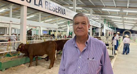 Ganaderos aseguran alimento hasta 2025