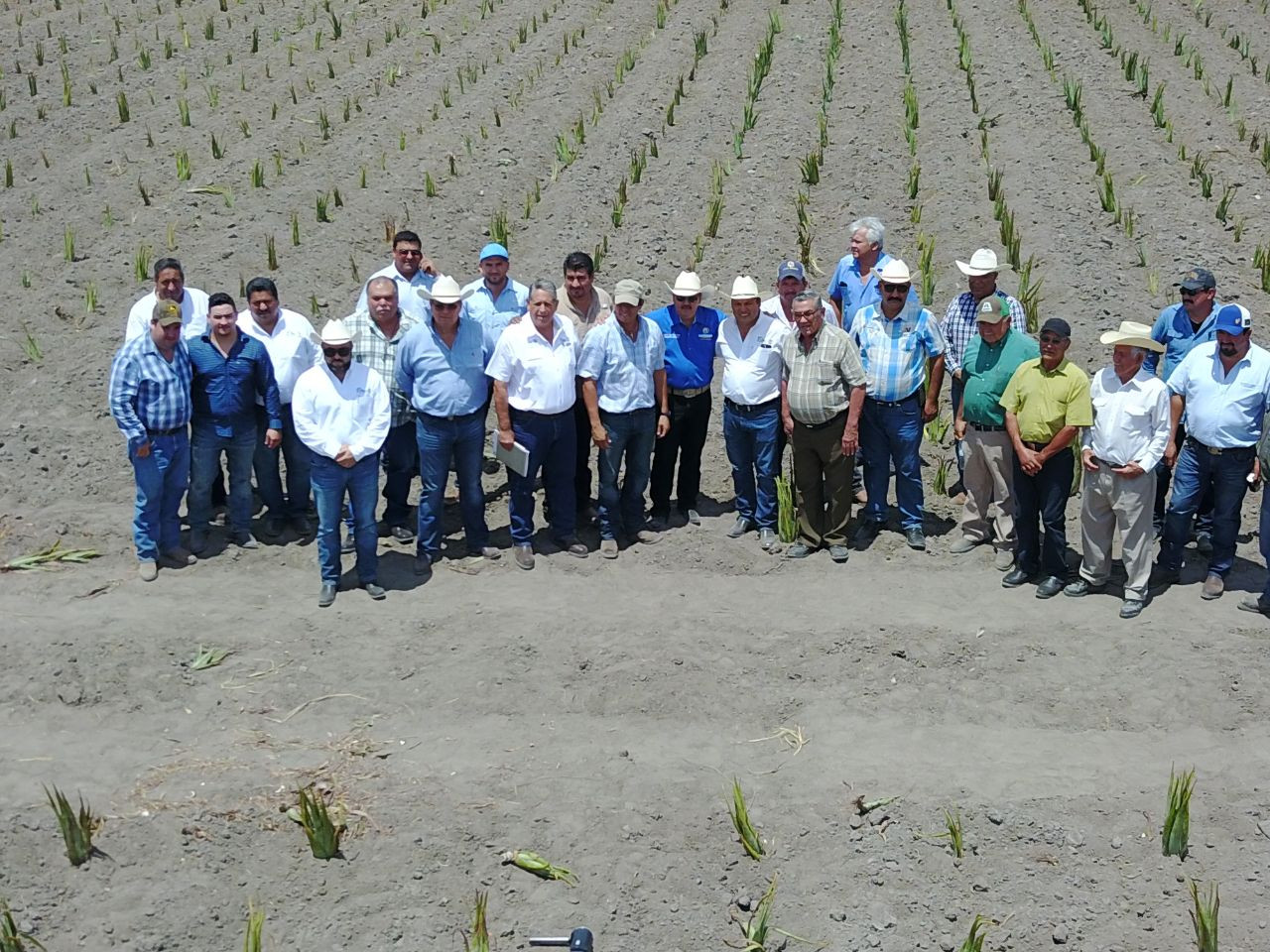 Incrementarán sus ingresos productores agrícolas