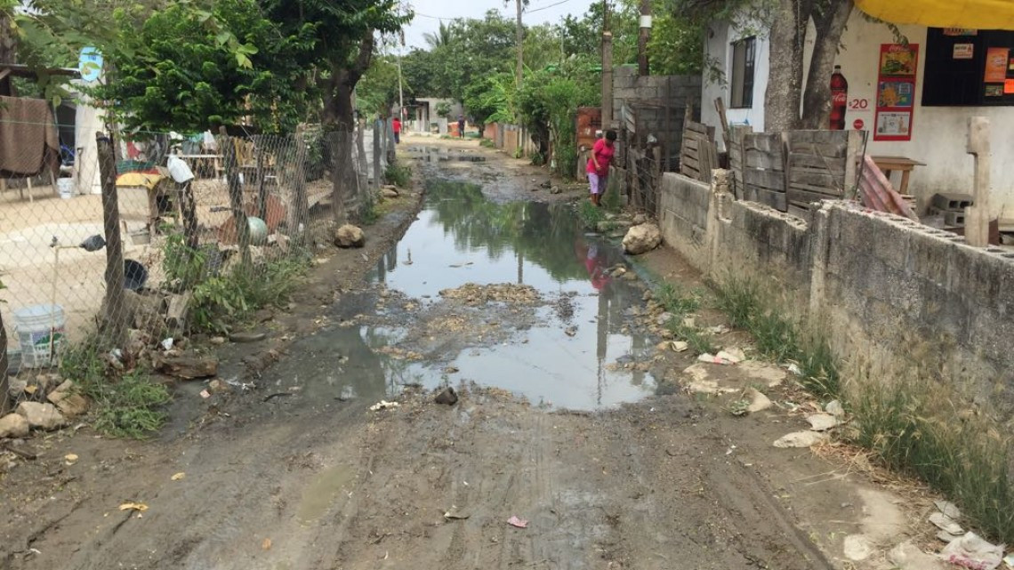Brotes de aguas negras de más de ocho años en zonas bajas
