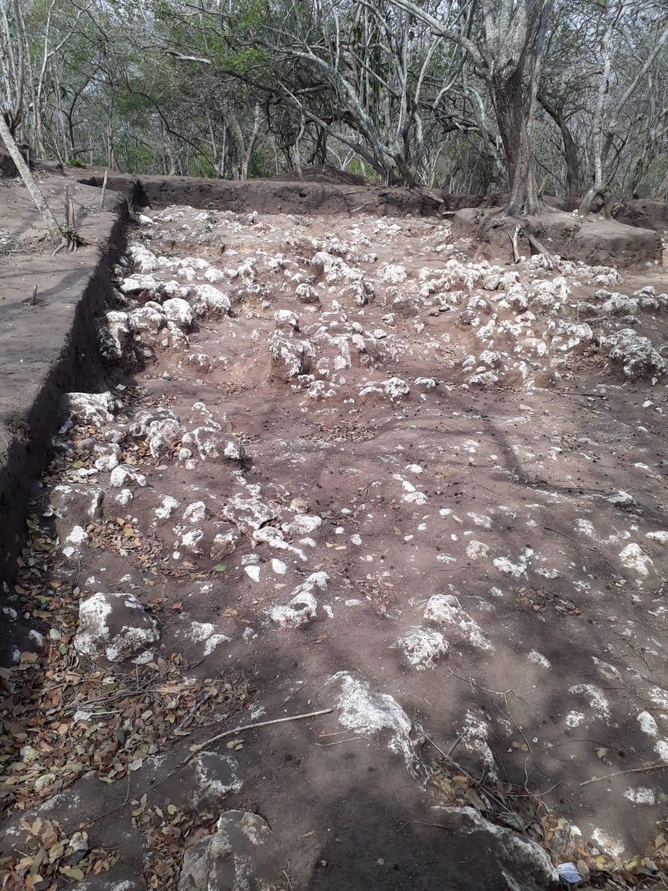 En Altamira siguen surgiendo a la luz más hallazgos arqueológicos