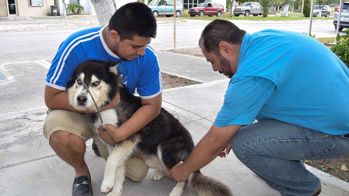 Ofrecen brigada de apoyo en el poblado Anáhuac 