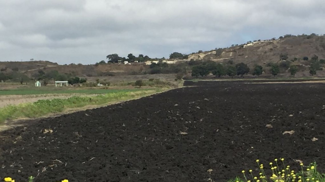 En crisis el campo por falta de lluvias