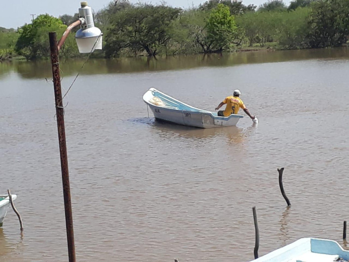 Cuerpos de agua dulce, salubre y salada se recuperan, mejorando la economía de sector rural
