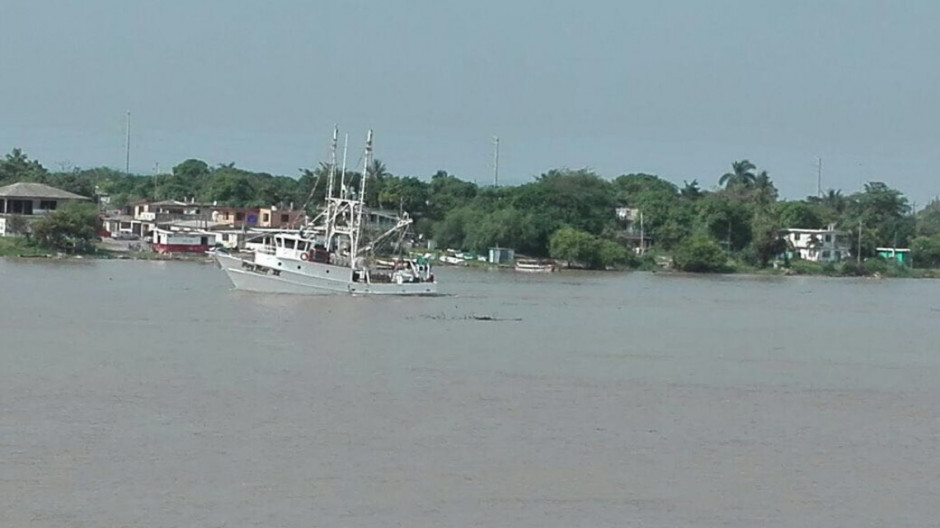 Zarpan al mar mil 600 barcos camaroneros
