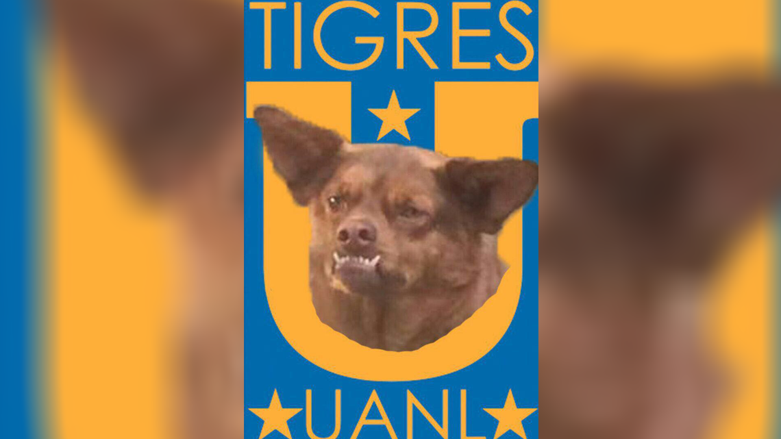 Los memes de la final Chivas vs Tigres