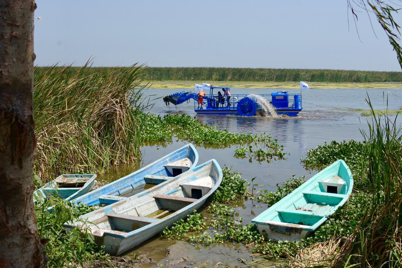 Inicia programa de limpieza de la laguna de Champayán