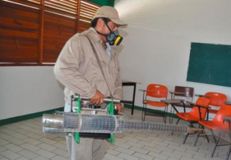 Intensifican acciones para liberar aulas de moscos