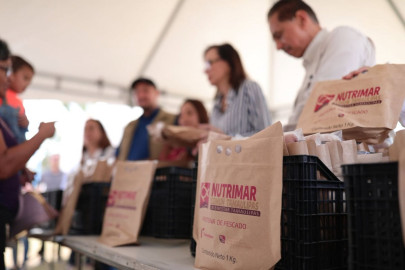 DIF Tamaulipas acerca alimentos saludables y a bajo costo a las familias de San Fernando