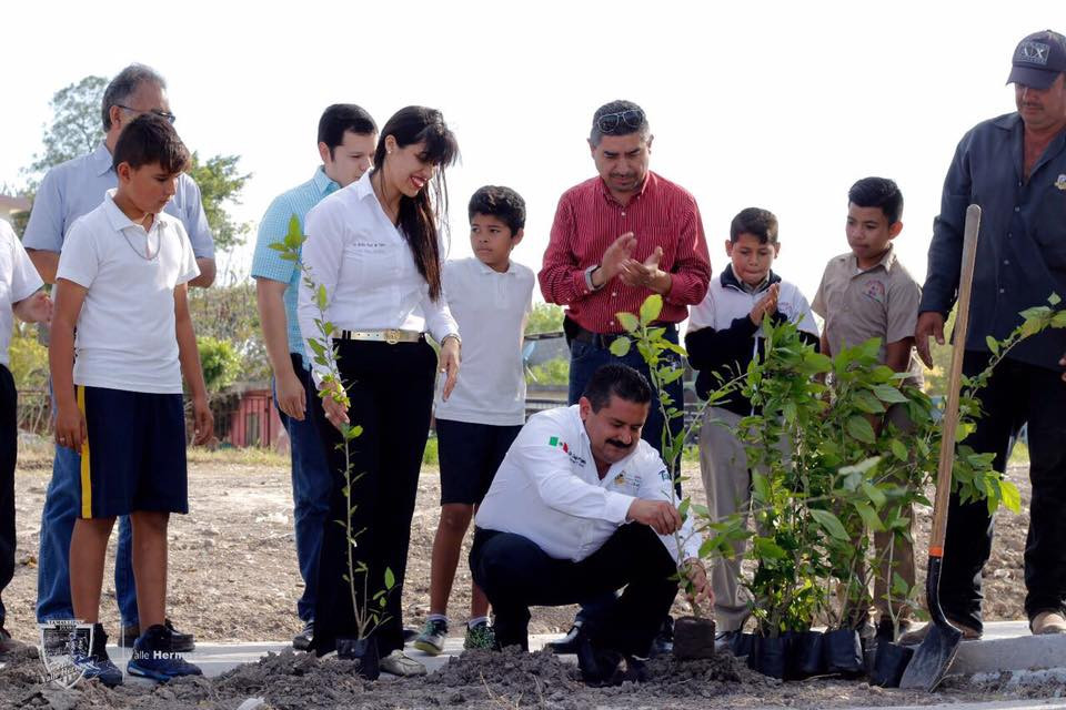 Inicia reforestación de áreas verdes en Valle Hermoso 