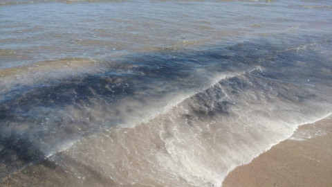 Aparece chapapote en playa Miramar