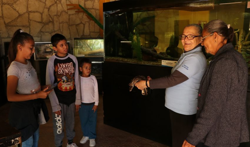 Por Covid-19 adelanta DIF Tamaulipas pago de “Adultos en Acción” en el estado