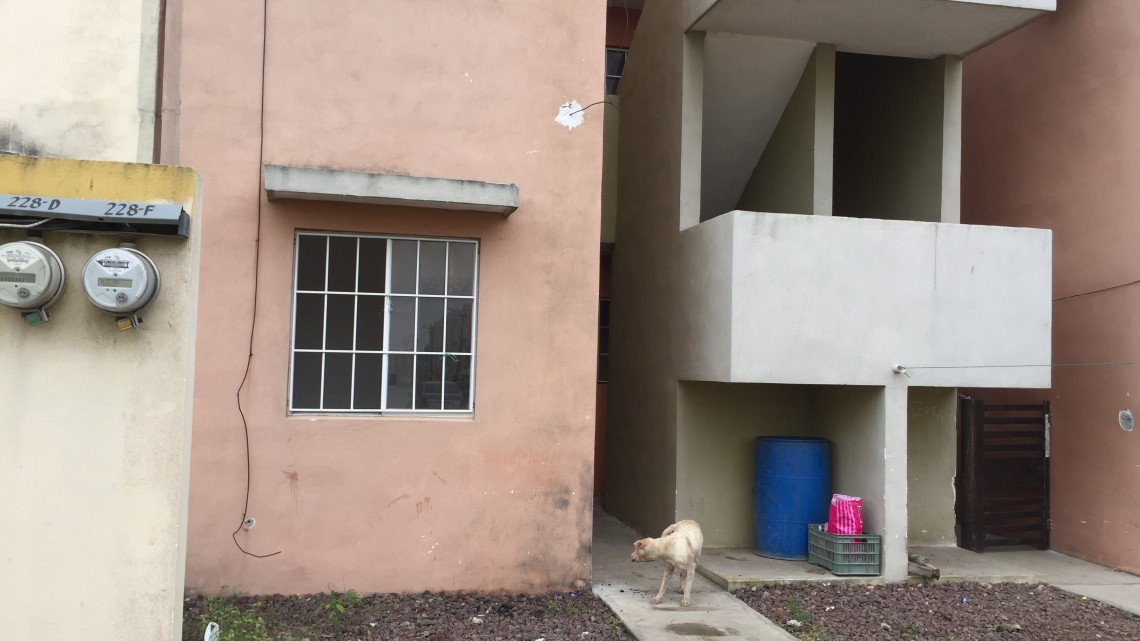 Inseguridad y vandalismo; problema constante en fraccionamientos 