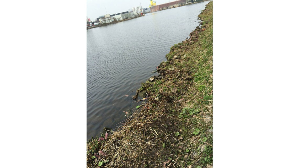 Limpia Río Schie, ¡y se vuelve viral!