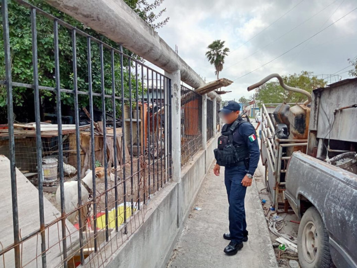 Atiende Guardia Estatal reporte de maltrato animal 