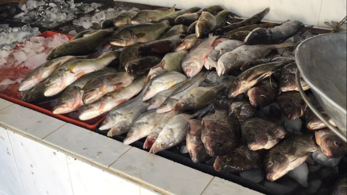 Con la cuaresma inicia un buen periodo de venta para el sector pesquero