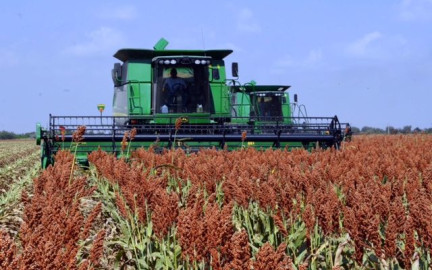 Preocupa a campesinos pronóstico de lluvias