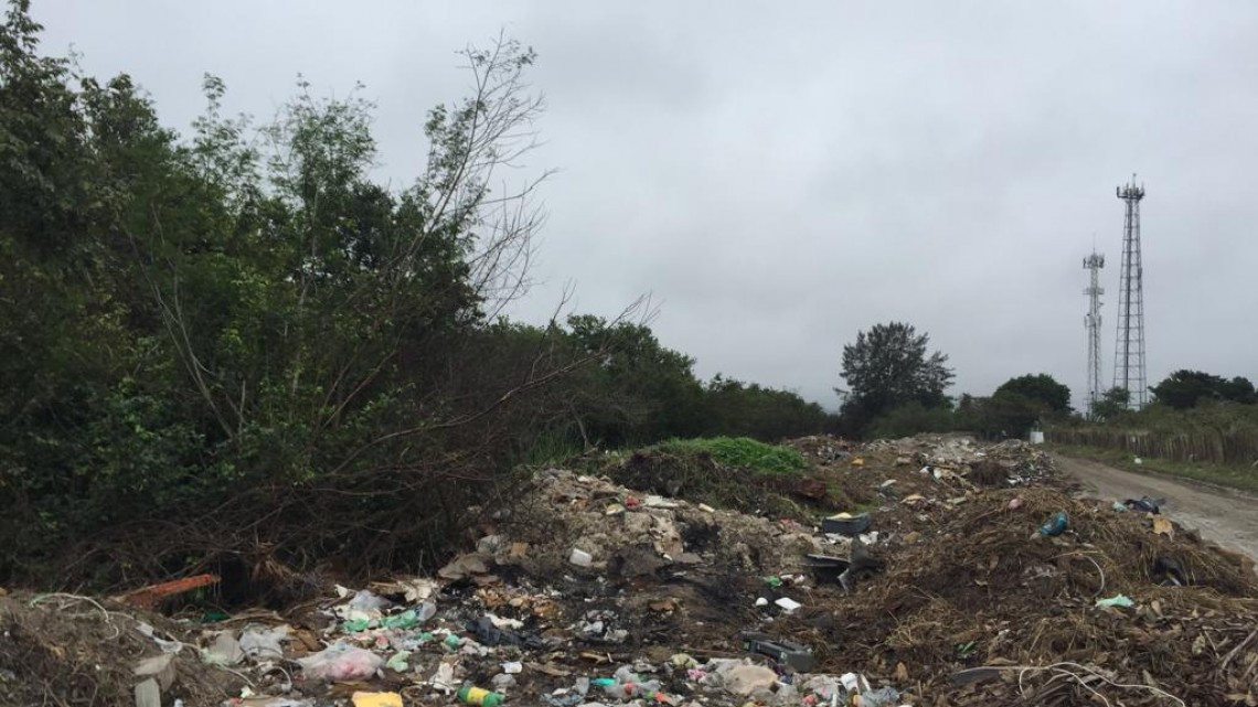 Tala inmoderada amenaza el mangle en Altamira