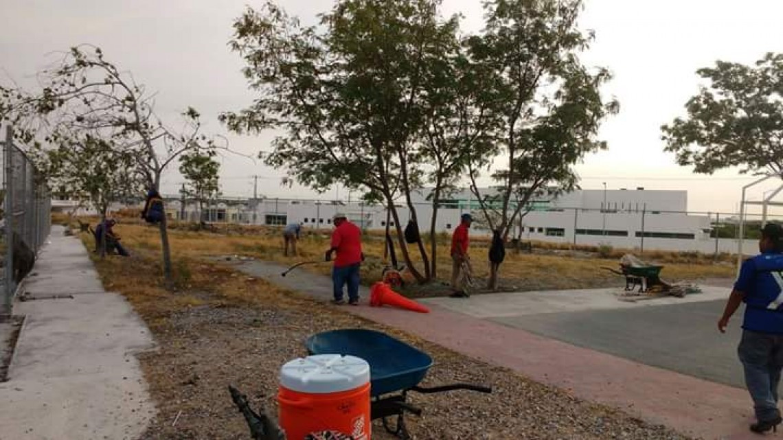 Servicios Públicos Primarios limpia plazas públicas