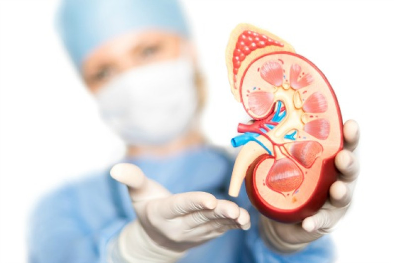 Más de 2 mil enfermos de insuficiencia renal crónica