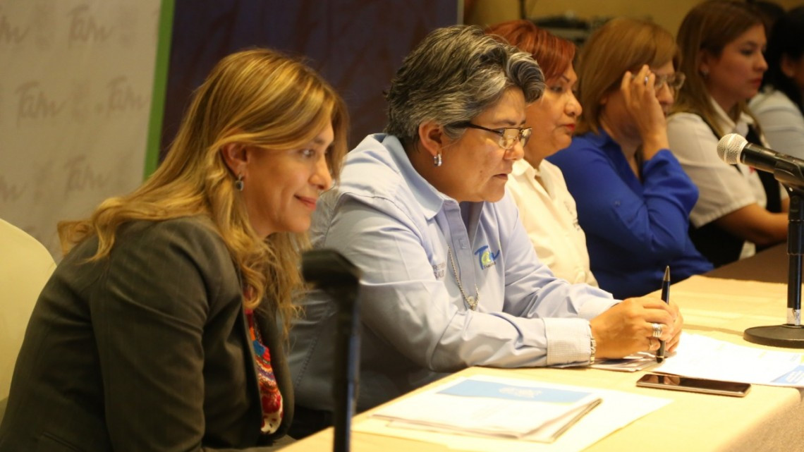 Avances de la lucha contra vectores del dengue, zika y chikungunya son revisados