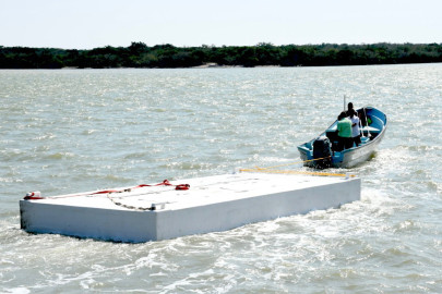 Presentan proyecto para el cultivo de ostión en Tamaulipas