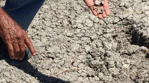 Pescadores denuncian contaminación en Laguna y manglares