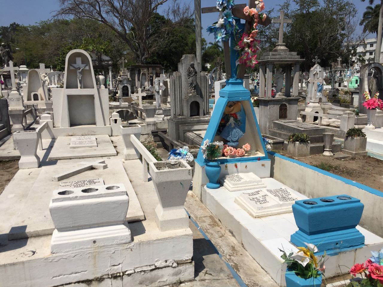 Fumigan panteones para evitar proliferación de moscos