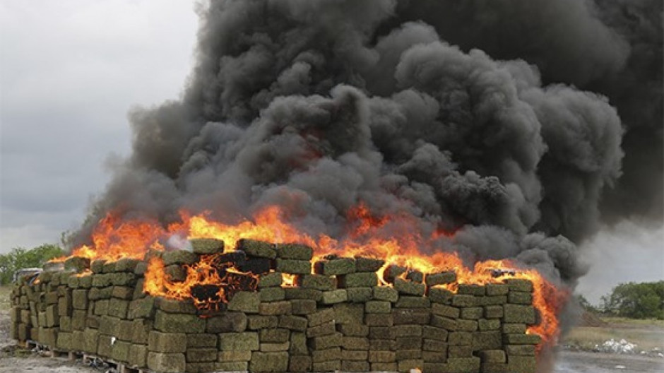Incineran toneladas de marihuana y destruyen cocaína