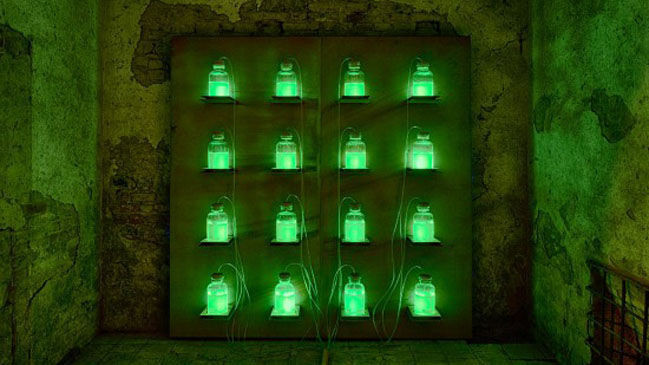 El arte de transformar las heces, el Museo del Excremento