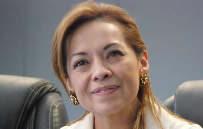 Defiende PAN a Vázquez Mota ante denuncia de Morena