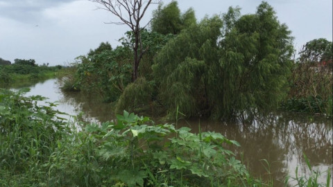 Otra víctima por lluvias en la zona sur
