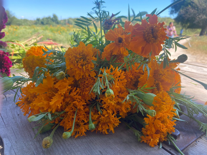 Anuncian flores visita de fieles difuntos