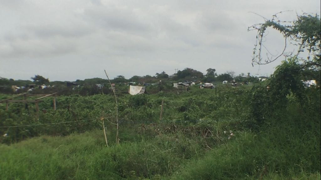 ⁠⁠⁠Predio inundable es invadido por cientos de familias en Altamira