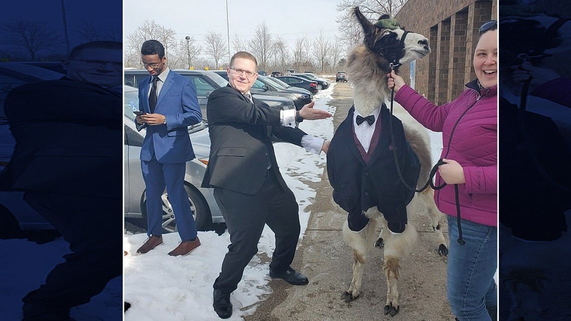 Hombre llega a la boda de su hermana con una llama en esmoquin