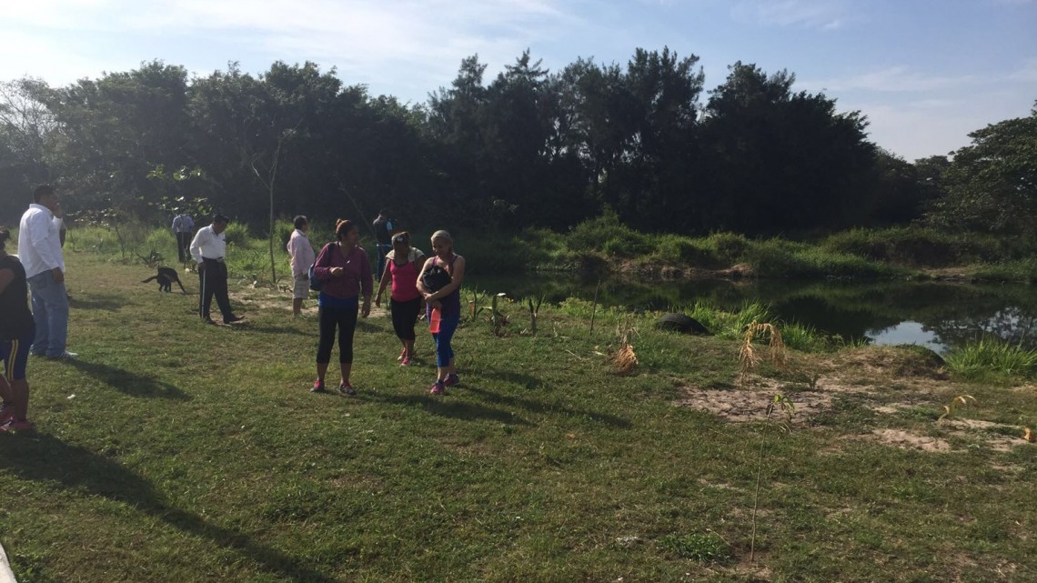 En Miramapolis temen ataque de cocodrilo