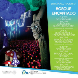 Invitan a disfrutar espectáculo Bosque Encantado