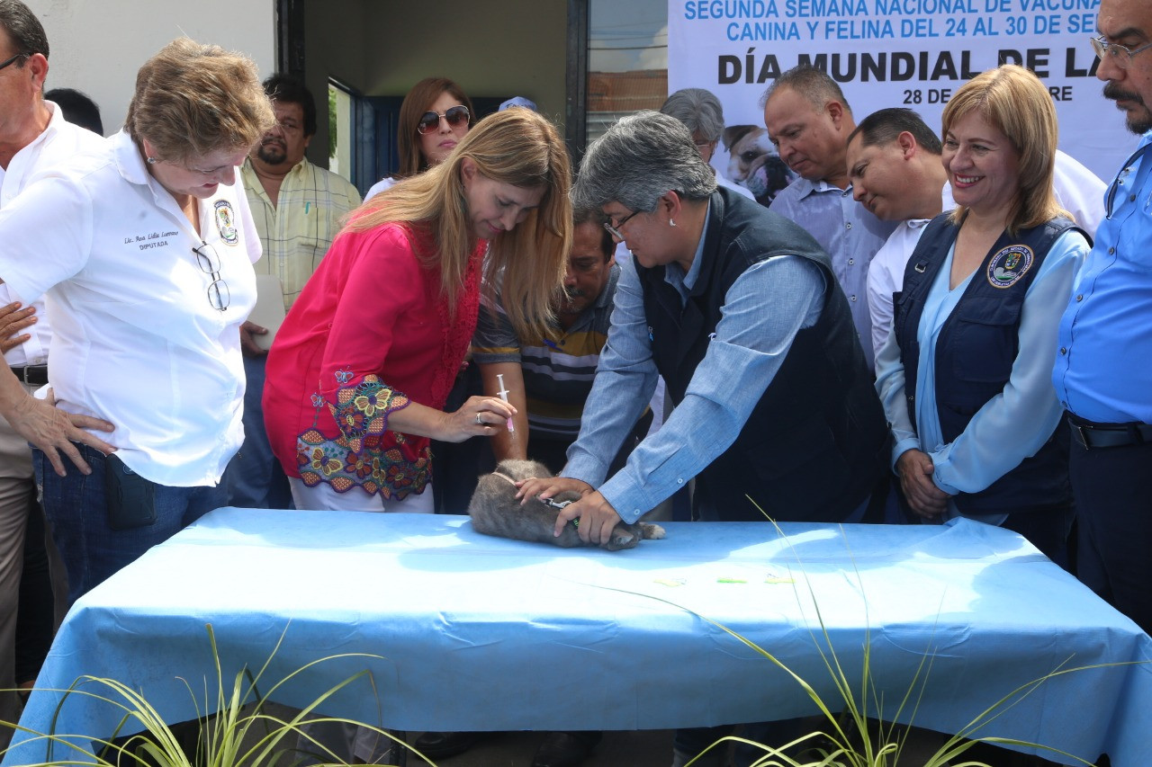 Inicia Segunda Semana Nacional de Vacunación Antirrábica