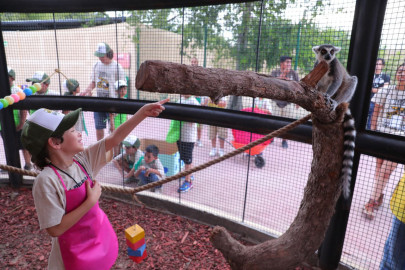 Gobierno Municipal invita a ciudadanos a aprender y disfrutar del Zoológico de Nuevo Laredo