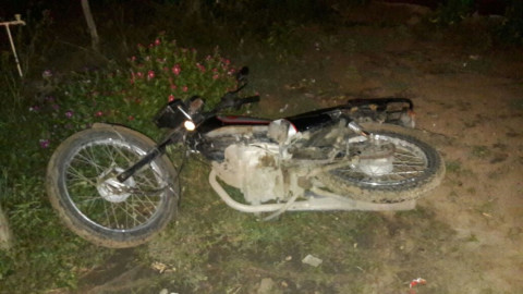 Autoridades aseguran cargamento de drogas 