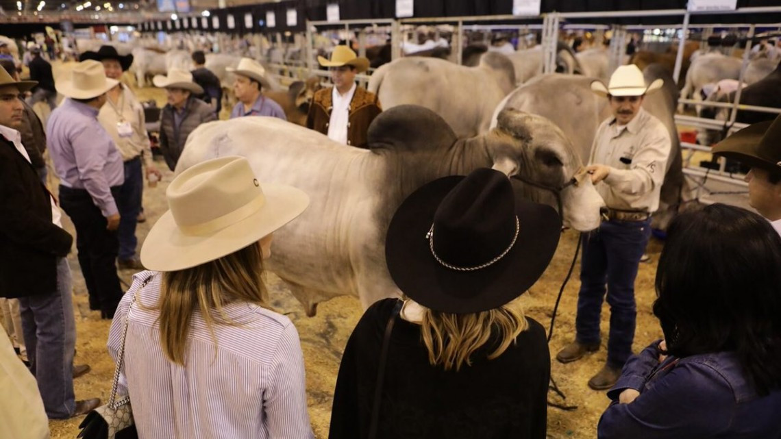 Participa FGCDV en Rodeo Houston para promover ganado tamaulipeco