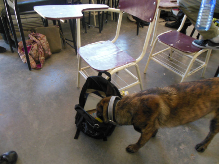 Hallan drogas y armas blancas tras 'Operativo Mochila' en Edomex