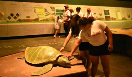 Niñas y niños de Casa Hogar viajaron de Tampico a Victoria