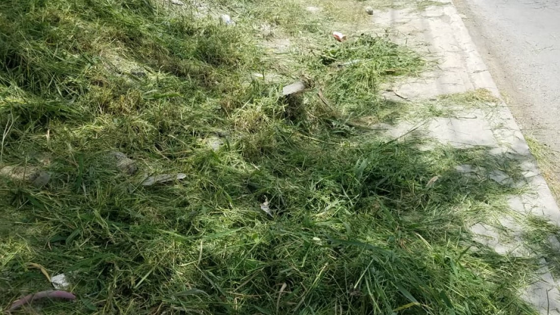 Intensifica Municipio labor de limpieza y descacharrización