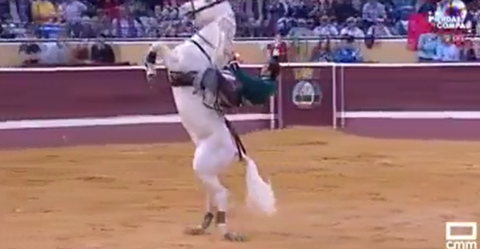 Caballo se roba show en plaza de toros